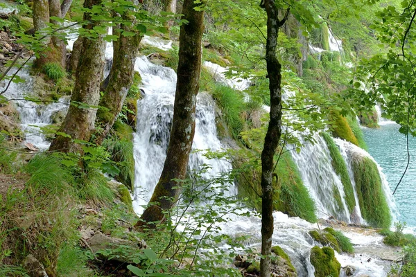 Plitvice Laky Vody Vnitrostátním Parku Chorvatsku — Stock fotografie