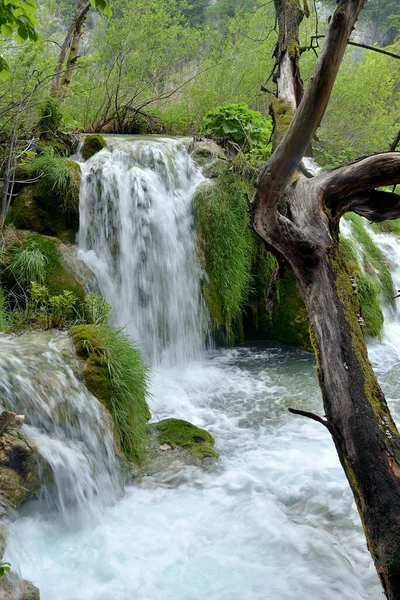 Plitvice Laken Waterfallen Het Nationale Park Kroatië — Stockfoto