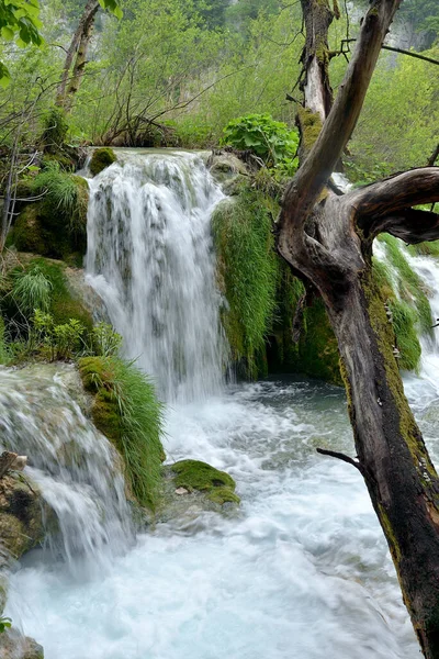 Kroáziai Nemzeti Park Plitvizetései Vízi — Stock Fotó