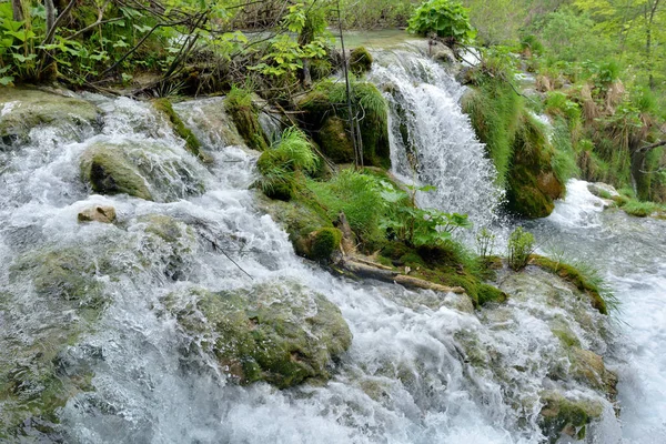 Plitvice Laky Vody Vnitrostátním Parku Chorvatsku — Stock fotografie