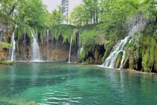 Plitvice Laken Waterfallen Het Nationale Park Kroatië — Stockfoto