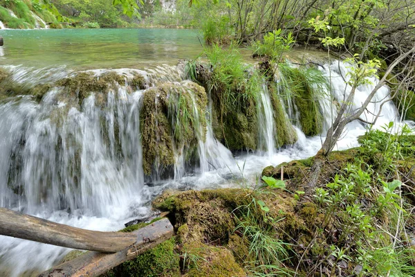 Croatia国家公园内的Plitvice Lakes Werfalls — 图库照片