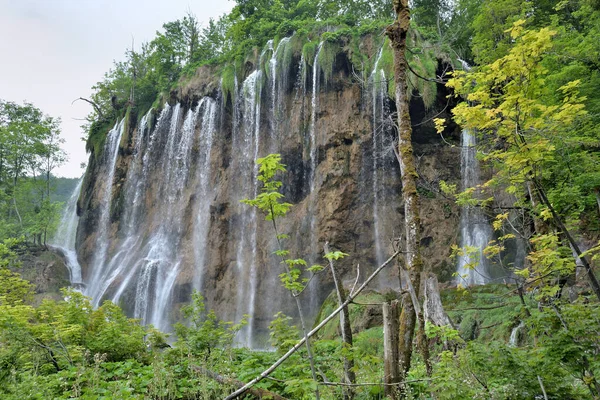 Plitvice Laken Waterfallen Het Nationale Park Kroatië — Stockfoto