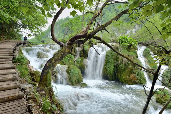 Plitvice Laken Waterfallen Het Nationale Park Kroatië — Stockfoto