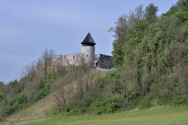 Altes Schloss Von Novigrad Dobra River Kroatien — Stockfoto
