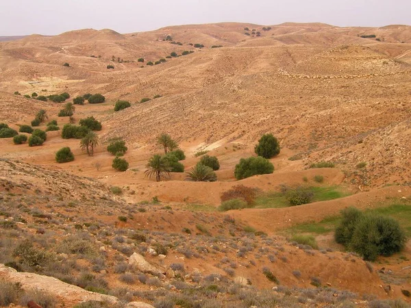 Jebel Nafusa Libya Berbers North Africa — 图库照片