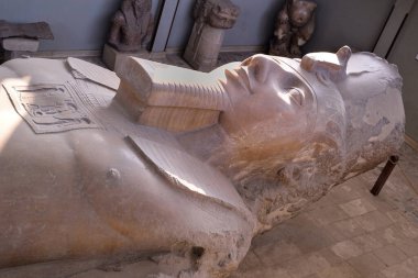 RAMSES II MEMPhis 'in EGİPT İÇİN STATÜSÜ