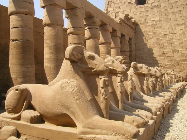 Luxor Temple Ägypten Statuen Von Pharaohs Und Sphynxen — Stockfoto