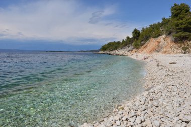 KRALİYA 'DA KORKULA' NIN MEDERRANEAN KUTASINDA Yaban Arıları