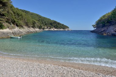 KRALİYA 'DA KORKULA' NIN MEDERRANEAN KUTASINDA Yaban Arıları