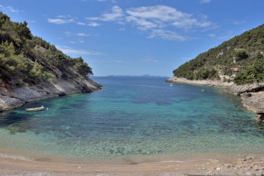KRALİYA 'DA KORKULA' NIN MEDERRANEAN KUTASINDA Yaban Arıları
