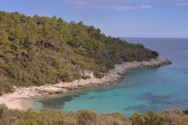 KRALİYA 'DA KORKULA' NIN MEDERRANEAN KUTASINDA Yaban Arıları