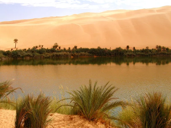 Sahara Desert Proche Sebha Oasis Libye Safari Desert Dunes — Photo