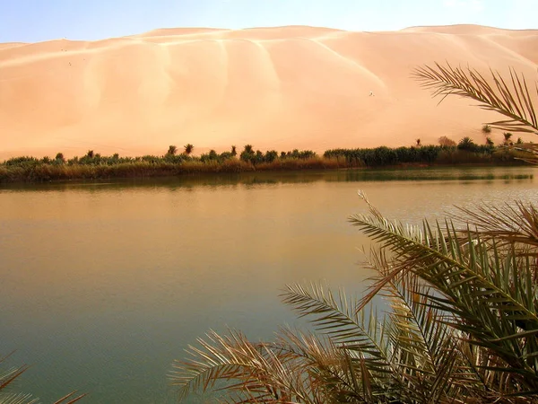 Sahara Desert Proche Sebha Oasis Libye Safari Desert Dunes — Photo