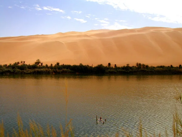 Desert Sahara Cerca Sebha Oasis Libia Safari Través Dunas Deserto — Foto de Stock