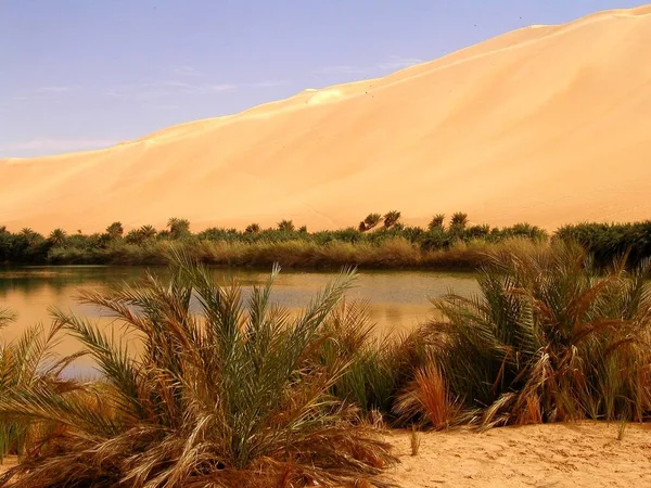 Beställaren Nära Sebha Oasis Libya Safari Akross Desert Duner — Stockfoto