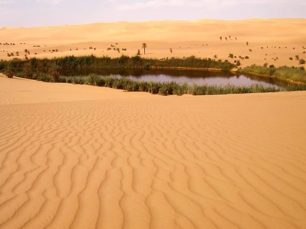 Sahara Desert Sebha Vahası Yakınlarında Libiya Safari Çözüm Düşündüğü — Stok fotoğraf
