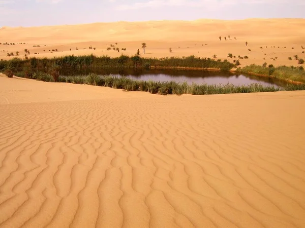 Sahara Desert Proche Sebha Oasis Libye Safari Desert Dunes — Photo