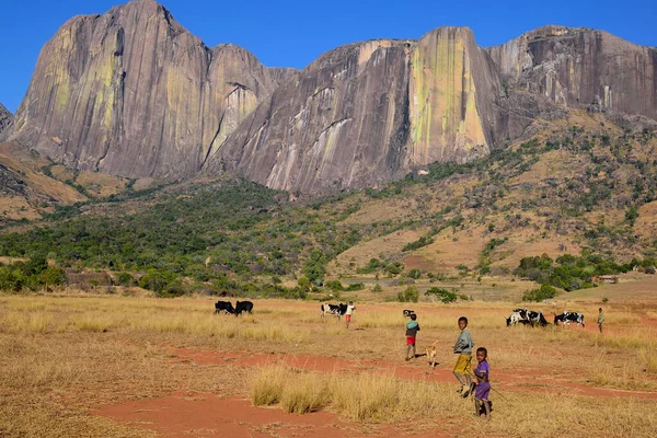 Madagascar Landscape Med Barn Fält — Stockfoto