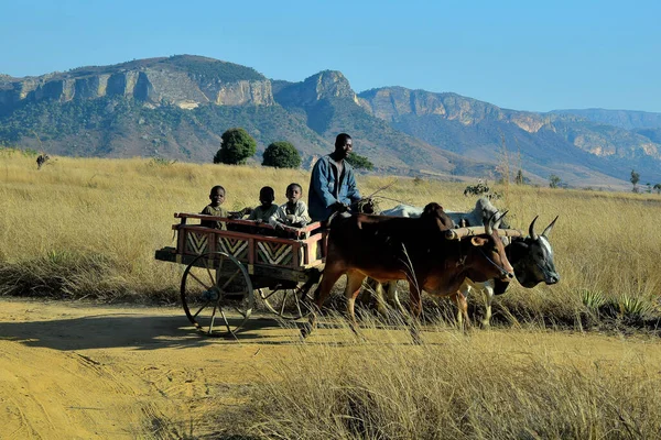 Publiken Madagascar Drive Cart — Stockfoto