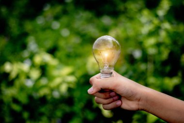 El ele tutuşmak ampul, doğal enerji ve dünya konseptini sevmek.