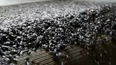 Ayçiçeği tohumu fabrikada işleme. Montaj hattı üretim çevre dostu üretim