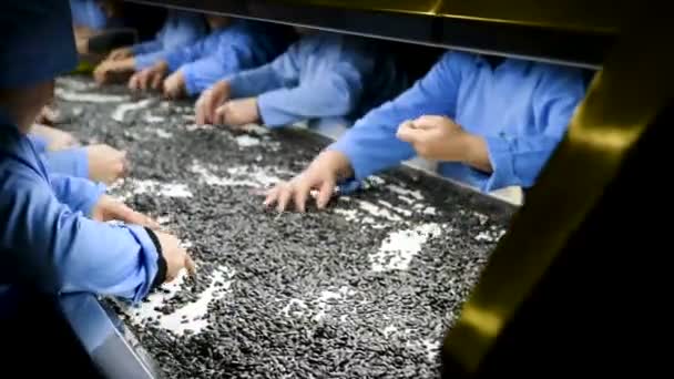 Solrosfrön Bearbetning Fabriken Assembly Line Produktion Miljövänlig Produktion — Stockvideo