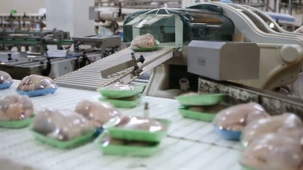 Hühnerverarbeitungslinie Auf Einer Geflügelfarm Hühnerfleisch Produktionslinie Lebensmittelindustrie — Stockvideo