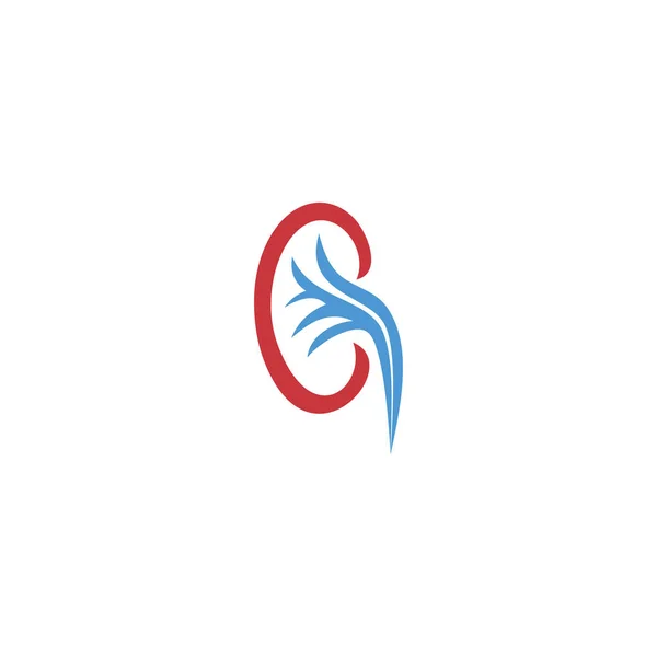 Logo Del Rene Modello Logo Urologia — Vettoriale Stock