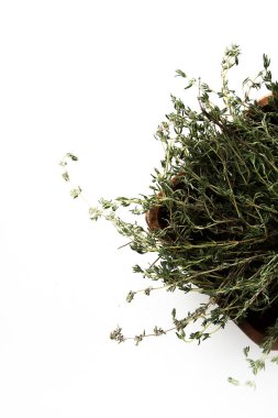 Çim kekik. İtalyan baharat beyaz zemin üzerinde. Gıda kavramı