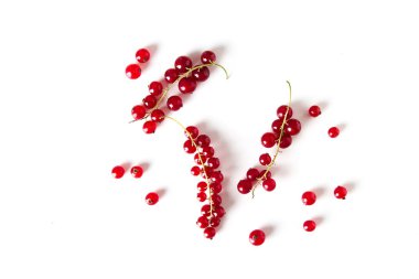 beyaz zemin üzerine kırmızı kuş üzümü. Gıda kavramı