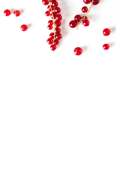 Röda Vinbär Vit Bakgrund Matkoncept — Stockfoto