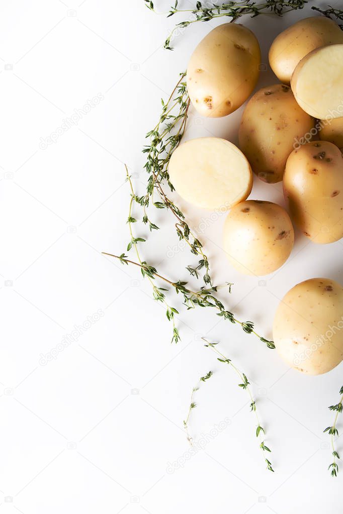 Potato with a thyme on a white background. Food concept