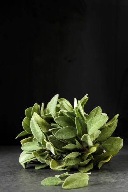 Taze adaçayı yaprakları. İtalyan otlar. Gıda için petrol