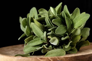 Taze adaçayı yaprakları. İtalyan otlar. Gıda için petrol