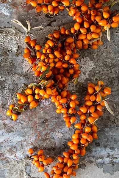 Rijp Oranje Bessen Duindoorn Van Zee Vitaminen Donkere Achtergrond — Stockfoto