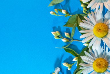 Mavi bir zemin üzerinde düz çiçek yatağı bileşimi