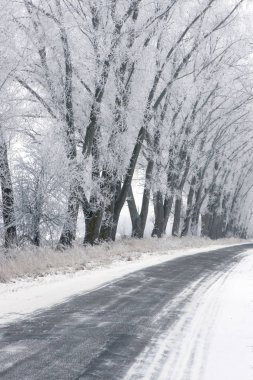 soğuk kışın boş yol