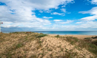 Elche 'deki Arenales del Sol' un doğal vahşi plajı.
