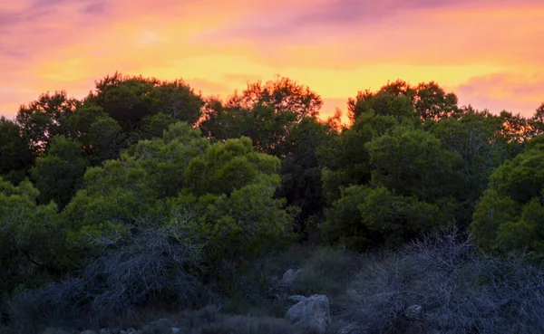 Hermosa Puesta Sol Con Rosa Cielo Naranja Los Alrededores Del — Foto de Stock