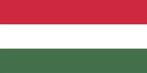 Macaristan Bayrağının Renkli Vektör Illüstrasyonu — Stok Vektör