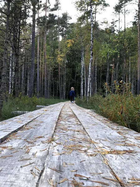Letonya ormanlarında küçük bir çocukla uzun bir yürüyüş. 
