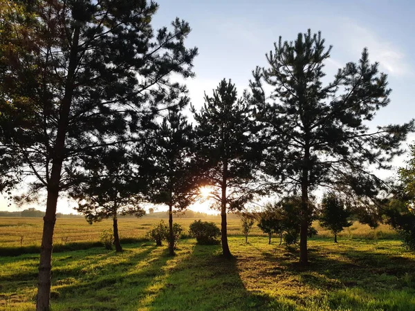Parkta yürürken tarlaların üzerinde en güzel gün batımını gördüğünde