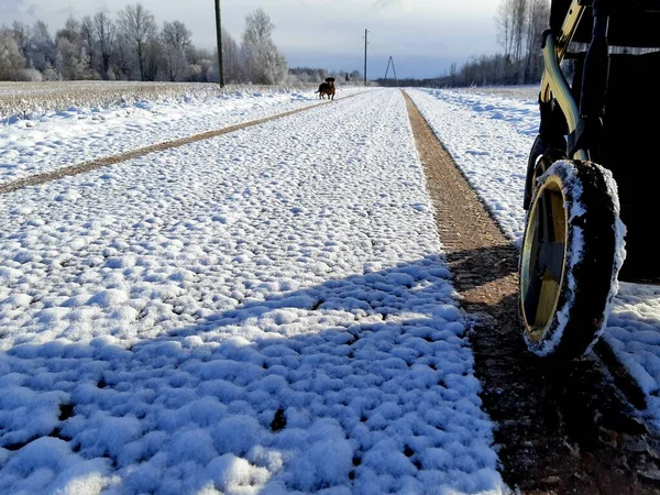 Çayırın üzerinde güzel bir gün batımı