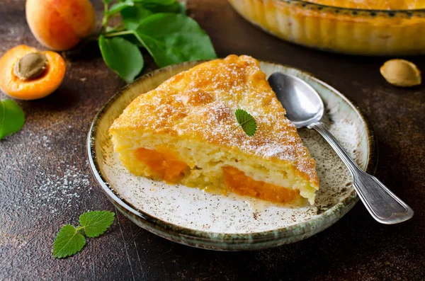 Sponge cake with apricots, dusted with icing sugar — Stock Photo, Image