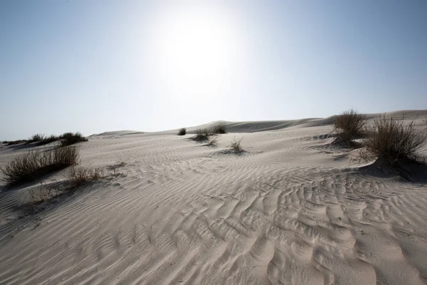 Krajina Khaluf Dunami Bílým Pískem Indický Oceán Arabské Moře Omán — Stock fotografie