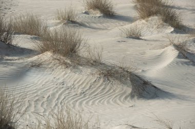 Al Khaluf manzarası, kum tepeleri ve beyaz kumlar. Orta Doğu 'da Hint Okyanusu Umman Denizi