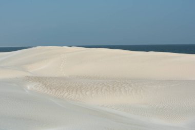 Al Khaluf manzarası, kum tepeleri ve beyaz kumlar. Orta Doğu 'da Hint Okyanusu Umman Denizi