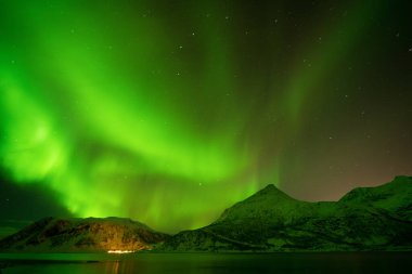 Karlı dağların üzerinde yeşil ve mor aurora borealis. Norveç, Lofoten adalarında kuzey ışıkları. Kutup ışıklarıyla yıldızlı gökyüzü. Gece manzarası, Aurora, yüksek kayalar, plaj. Seyahat et. Doğa.