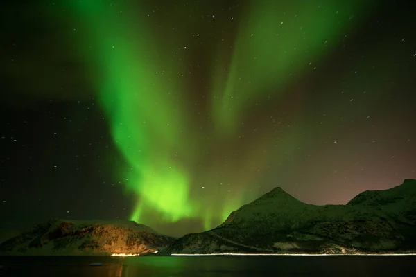 Zelená Fialová Polární Záře Nad Zasněženými Horami Severní Světla Ostrovech — Stock fotografie